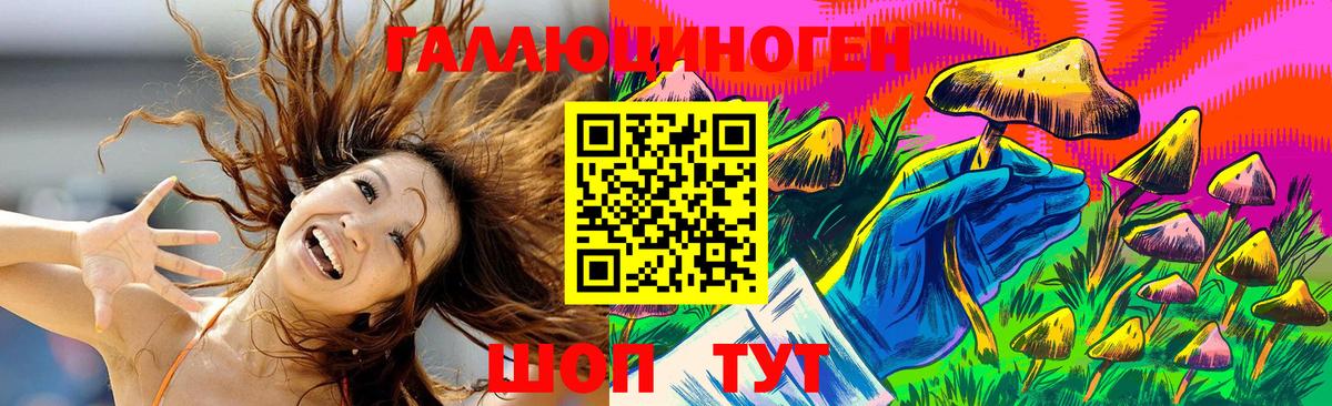 Псилоцибиновые грибы GOLDEN TEACHER  Вход с VPN  купить закладку  Волоколамск 